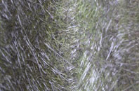 Hall End fibreglass roof work